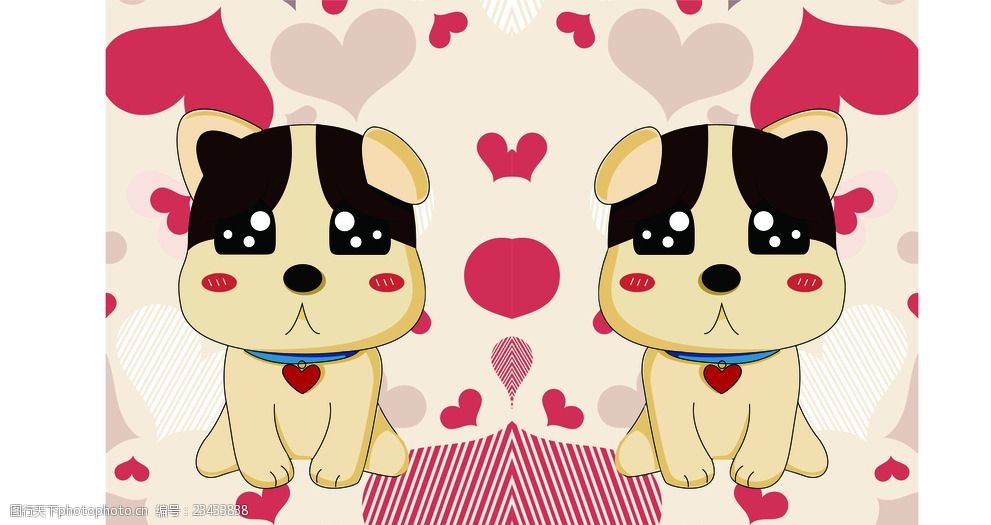 猫咪的药能灌嘛？——宠物护理中的小技巧与大智慧